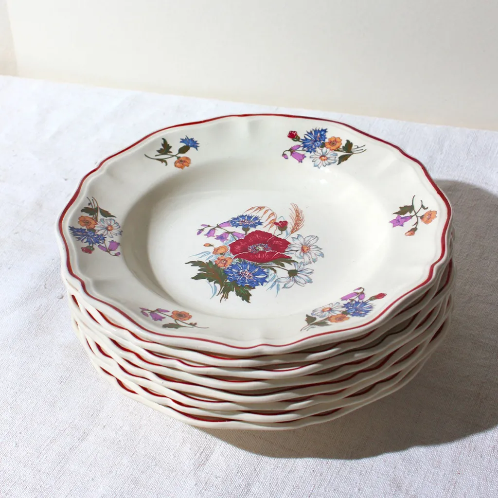 Digoin Sarreguemines Lot de 6 assiettes aux fleurs des bois